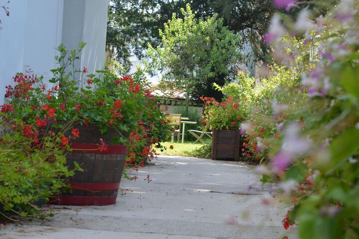 Terrace/Patio 35 of 38
