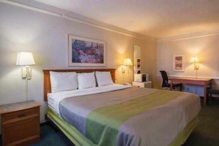 Standard Suite