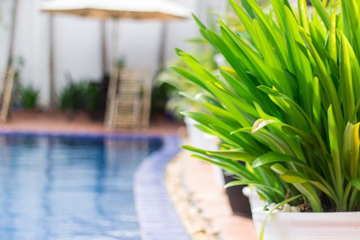 Pools & Facilities