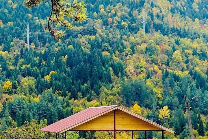 Holiday Borjomi