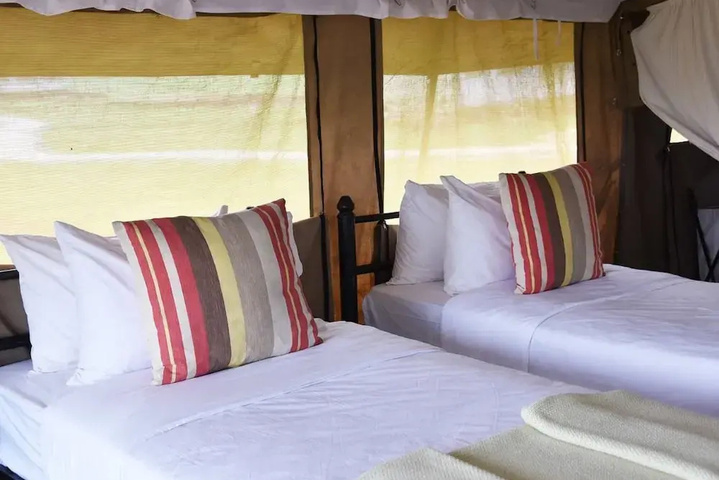 Polo Safari Club