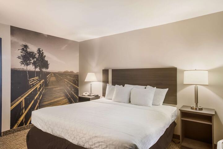 1 King Bed (8 of 15)