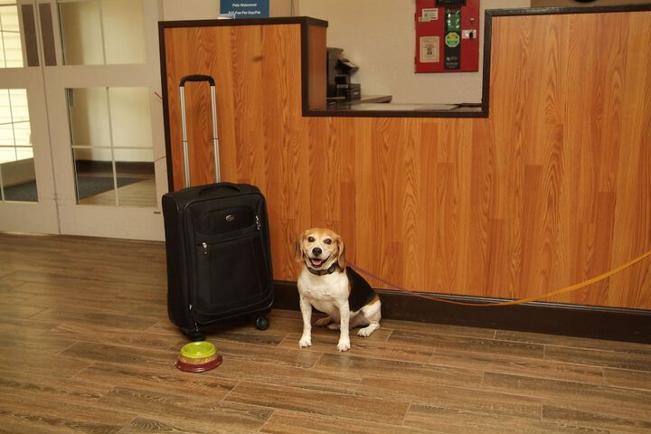 Check-in/check-out kiosk