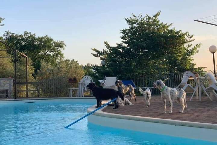 Pool 41 of 206