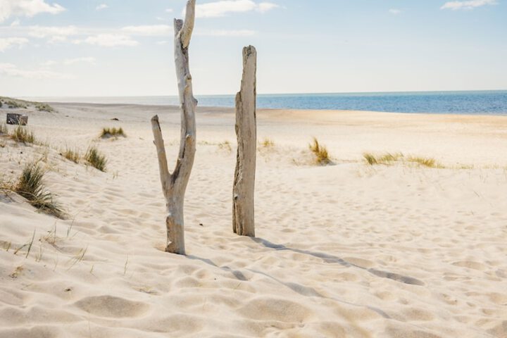 Beach 45 of 50