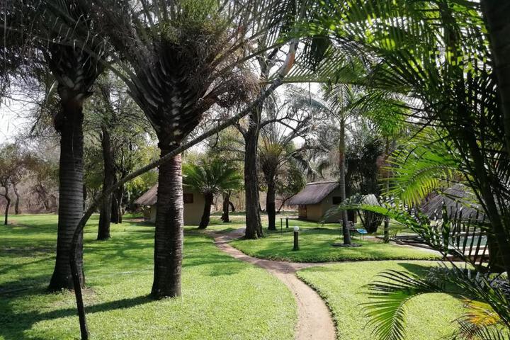 Shumba Safari Lodge in Hoedspruit