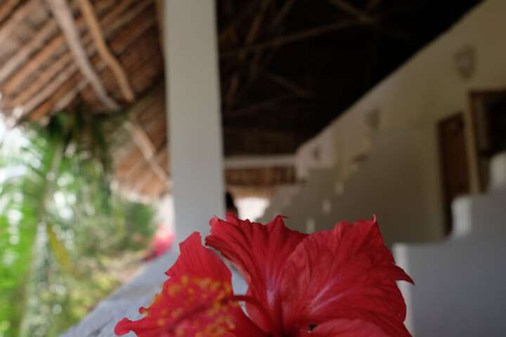 Hotel 146 of 150