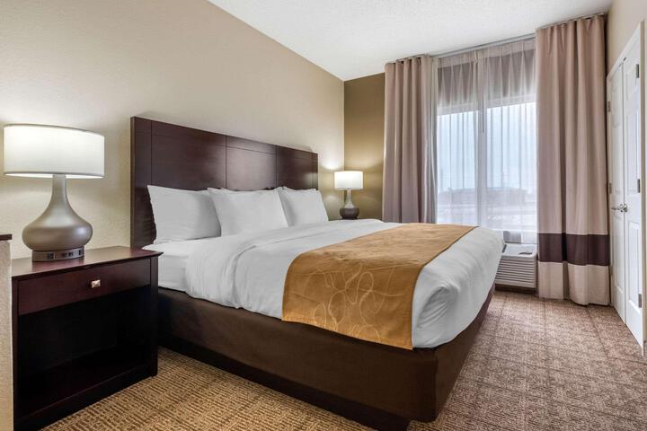 1 King Bed Accessible (1 of 13)