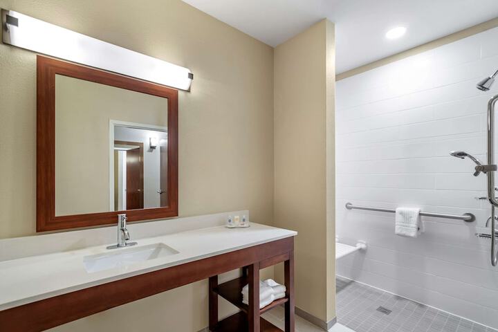 1 King Bed Accessible (7 of 13)
