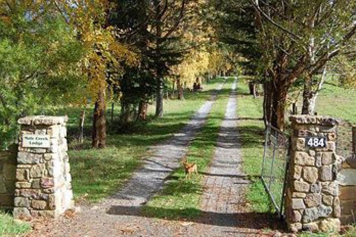 Property Grounds 16 of 19
