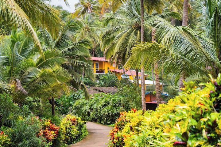 Palm Beach Lifestyle Resort by Anusaksh