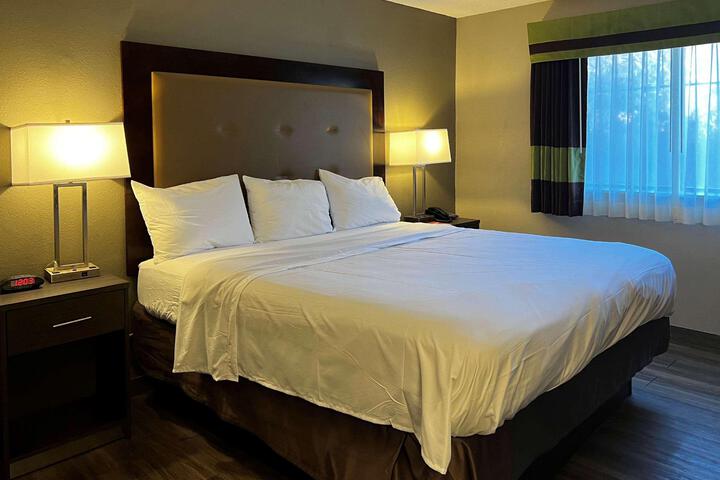 1 King Bed (5 of 11)