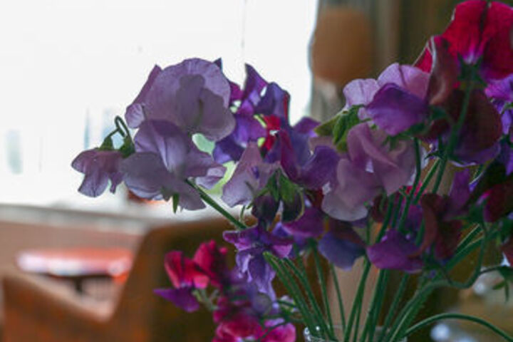 Room 25 of 40