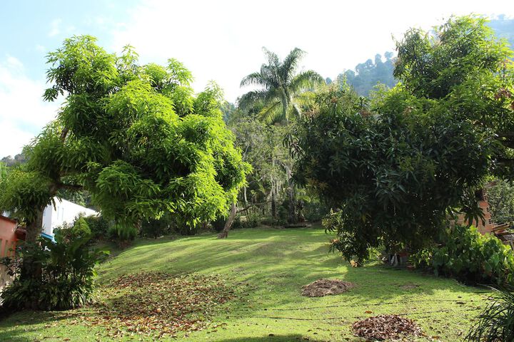 Property Grounds 30 of 67
