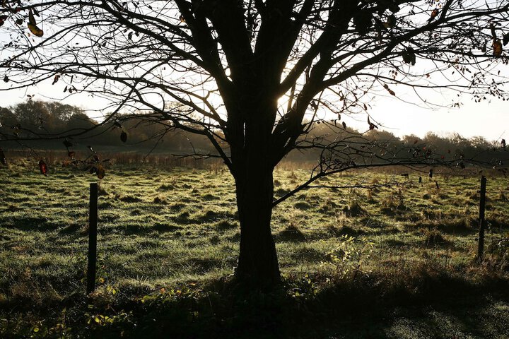 Property Grounds 165 of 189