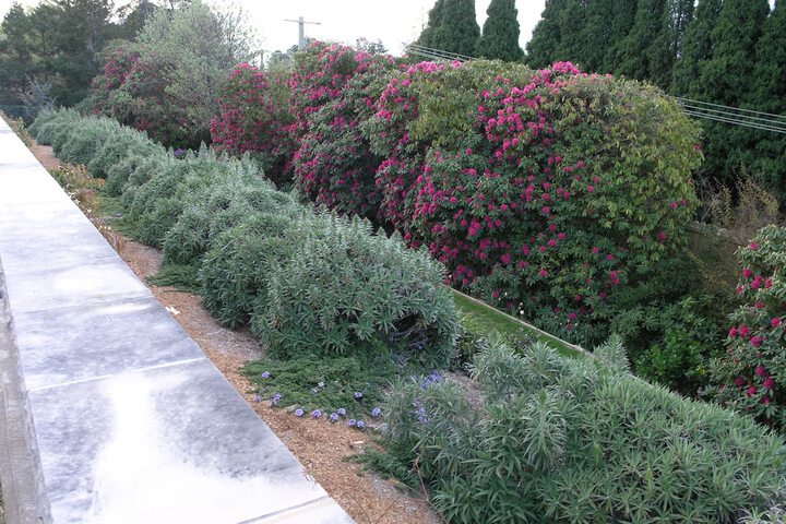 Property Grounds 38 of 56