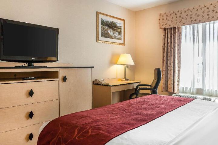 1 King Bed (6 of 12)
