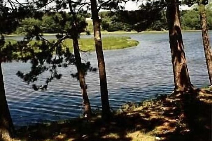 Property Grounds 34 of 43