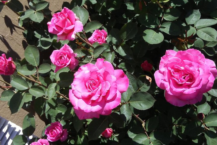 Hotel Exterior 31 of 33