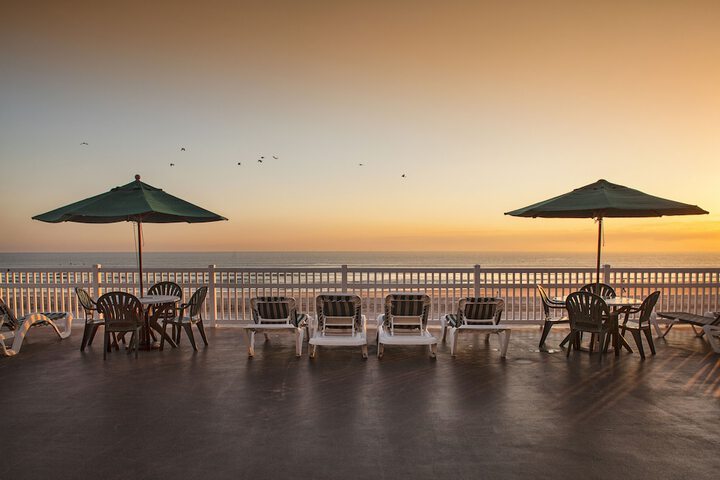 Terrace/Patio 74 of 88