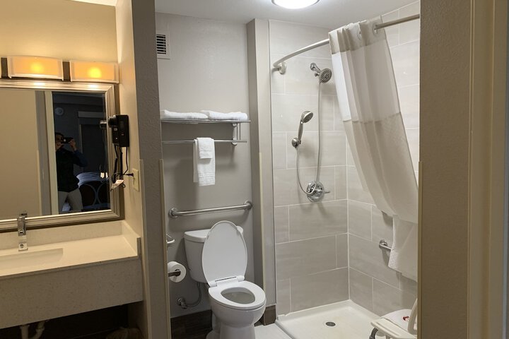 1 King Bed Accessible (9 of 11)