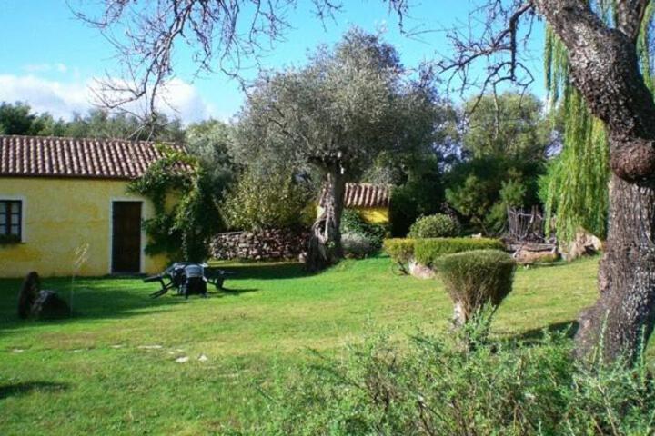 Agriturismo nuraghe Putzu Canu