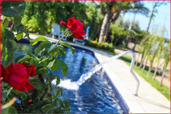 Pools & Facilities