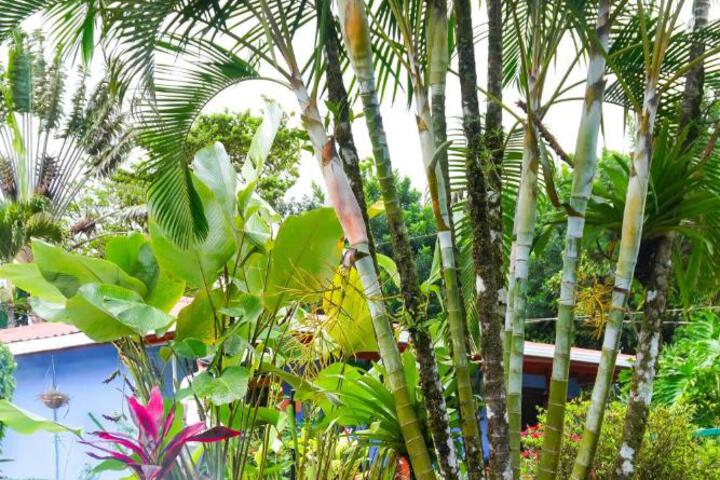 Spa and Wellness Pictures