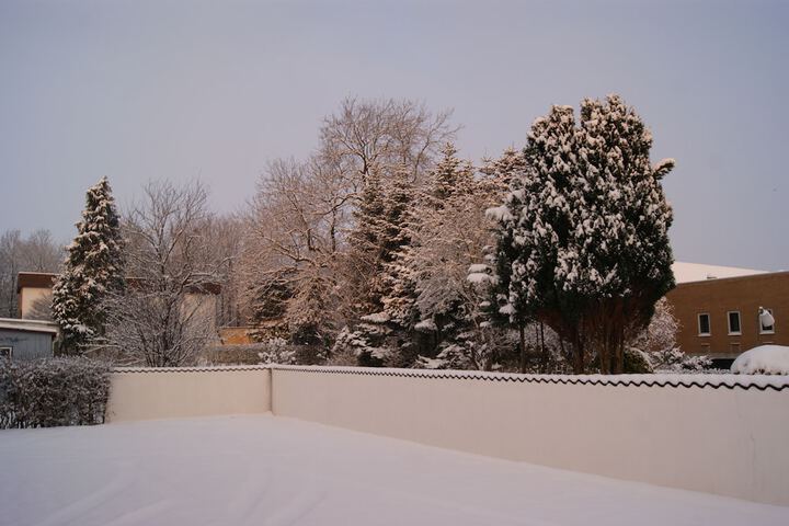 Property Grounds 62 of 69