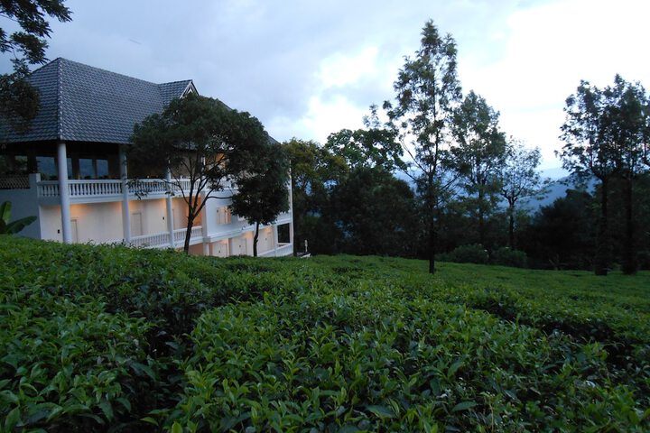 Property Grounds 33 of 60