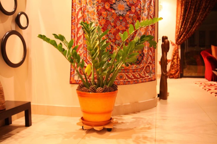 Hotel Interior 5 of 52