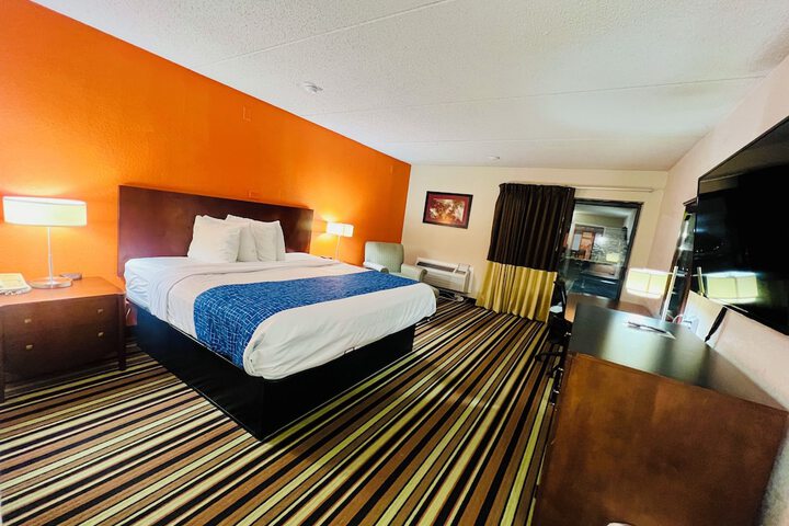 1 King Bed (7 of 9)