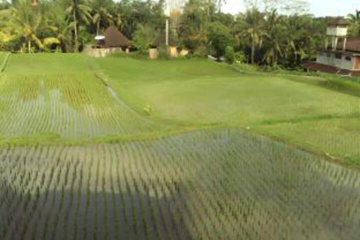 Hotel View 7 of 22