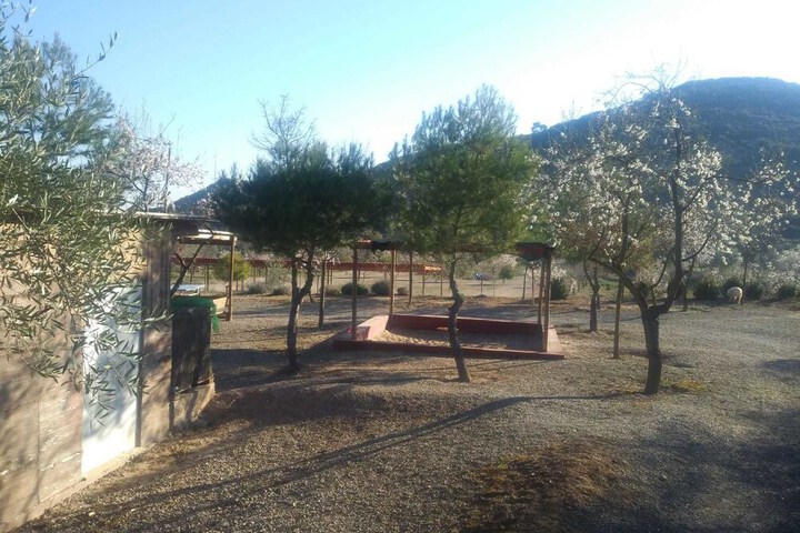Property Grounds 49 of 52