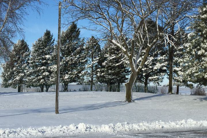 View from property