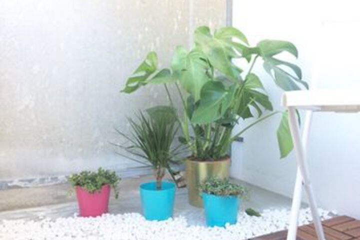 Terrace/Patio 6 of 100
