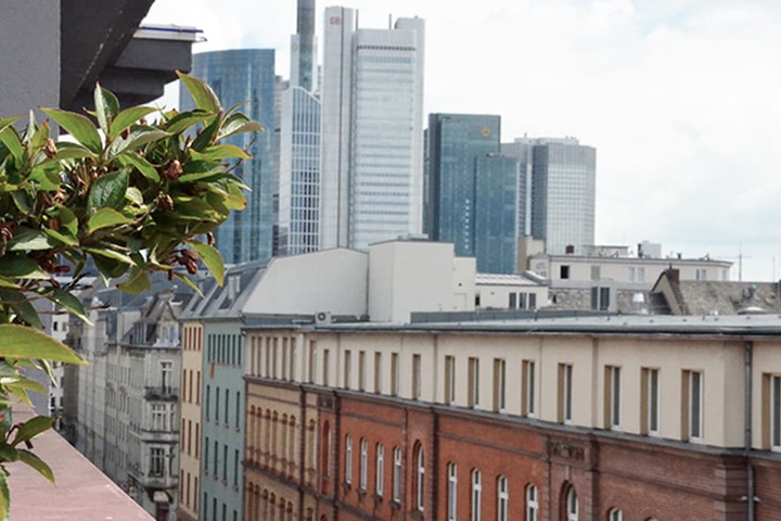 View from room