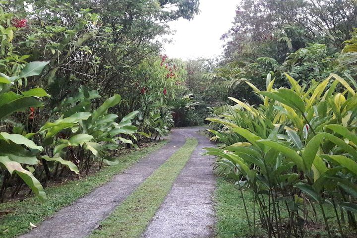 Property Grounds 40 of 52