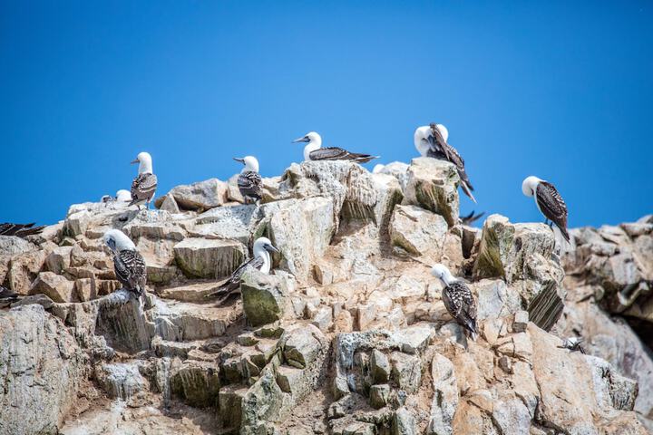 Ecotours