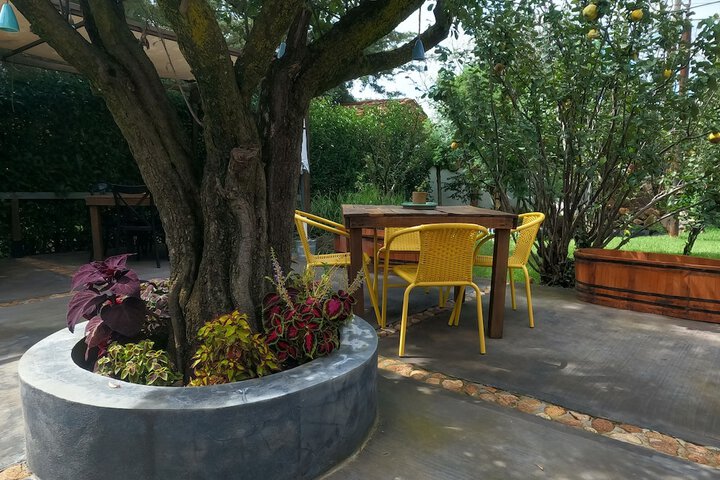 Terrace/Patio 38 of 61