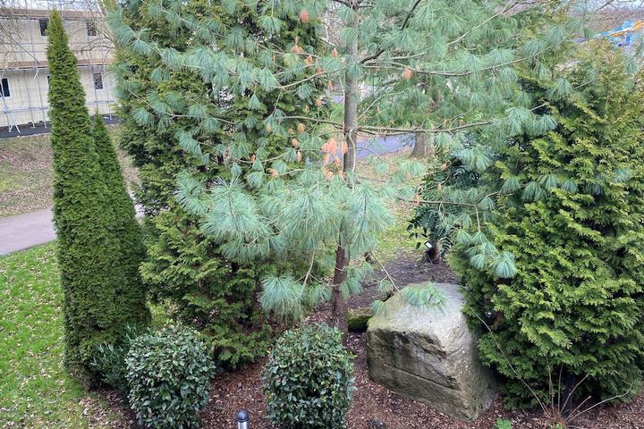 Hotel View 132 of 135