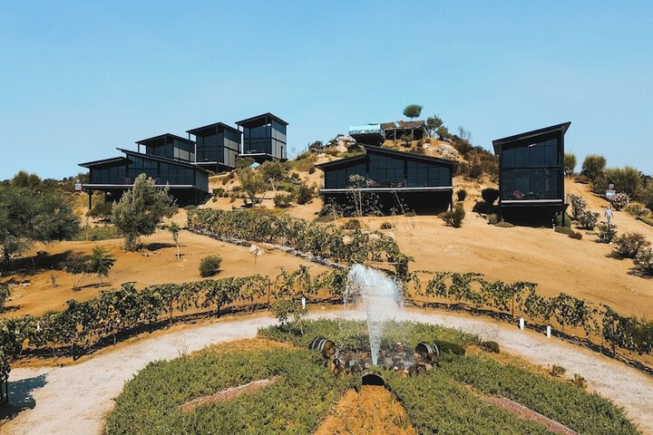 Origen75 in Valle de Guadalupe