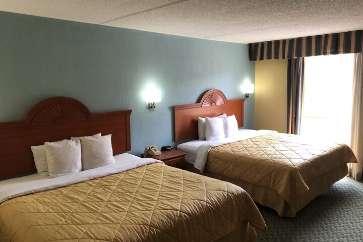 1 King Bed (12 of 20)