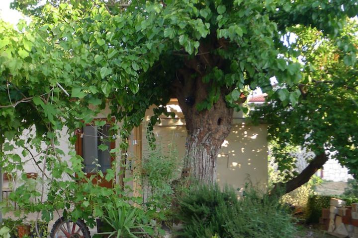 Hotel Interior 2 of 263