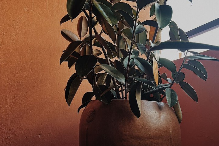 Terrace/Patio 40 of 50