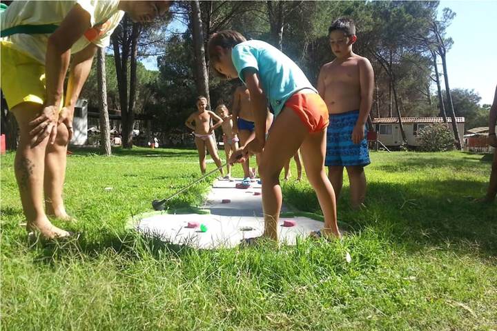 Mini-golf