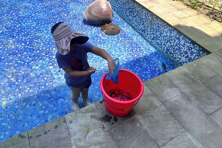 Pool 100 of 170