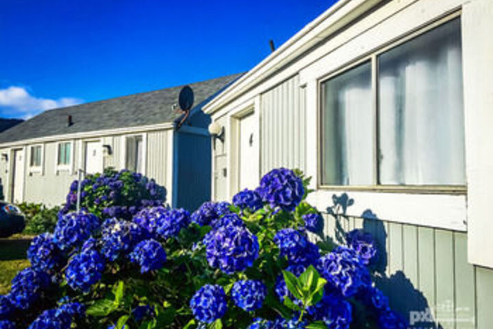 Beachcomber Cottages