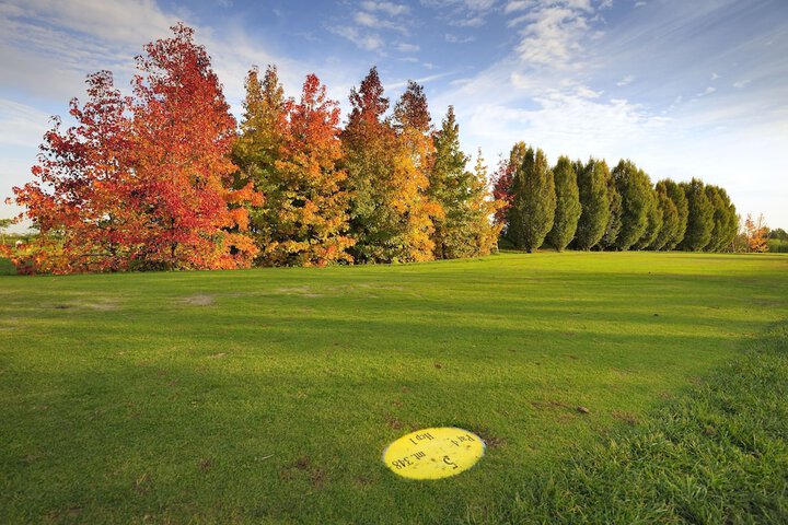 Golf 49 of 73