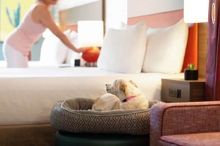 Pet-friendly